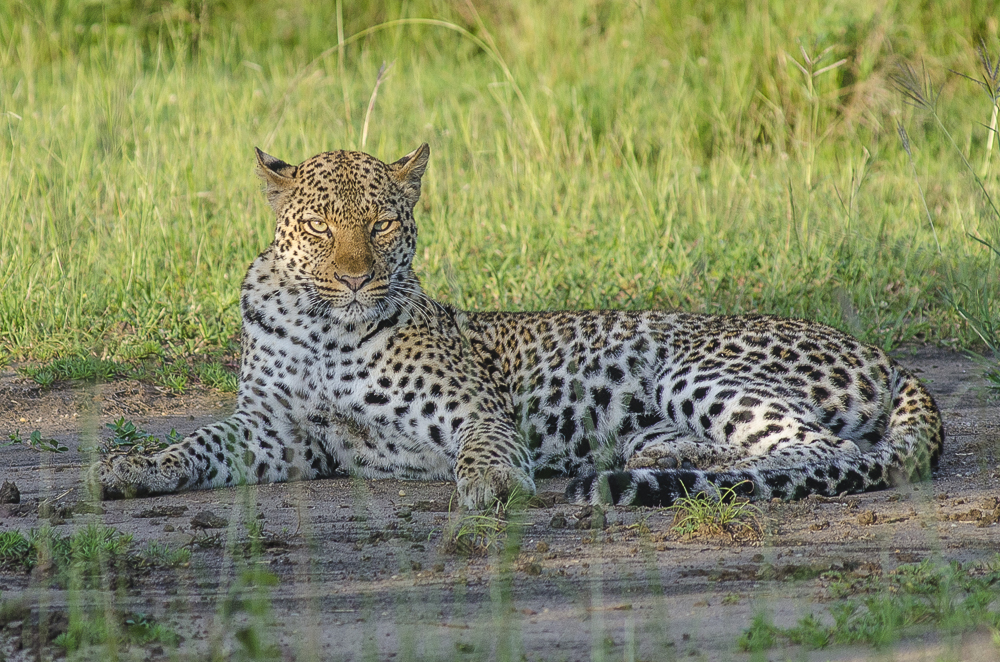 Kyambura