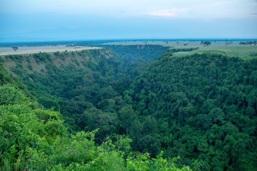 Uganda wildlife safari